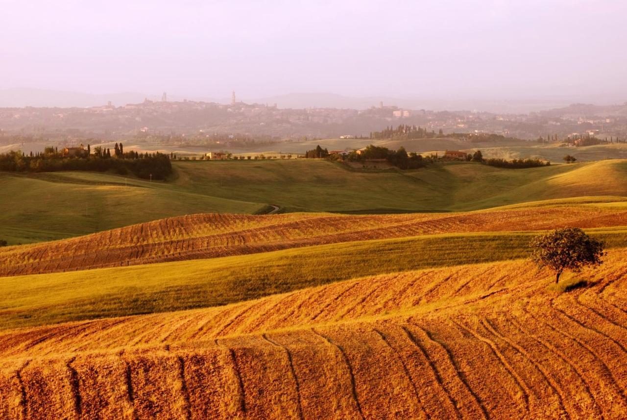 Castello Di Grotti Vendégház Corsano Szoba fotó